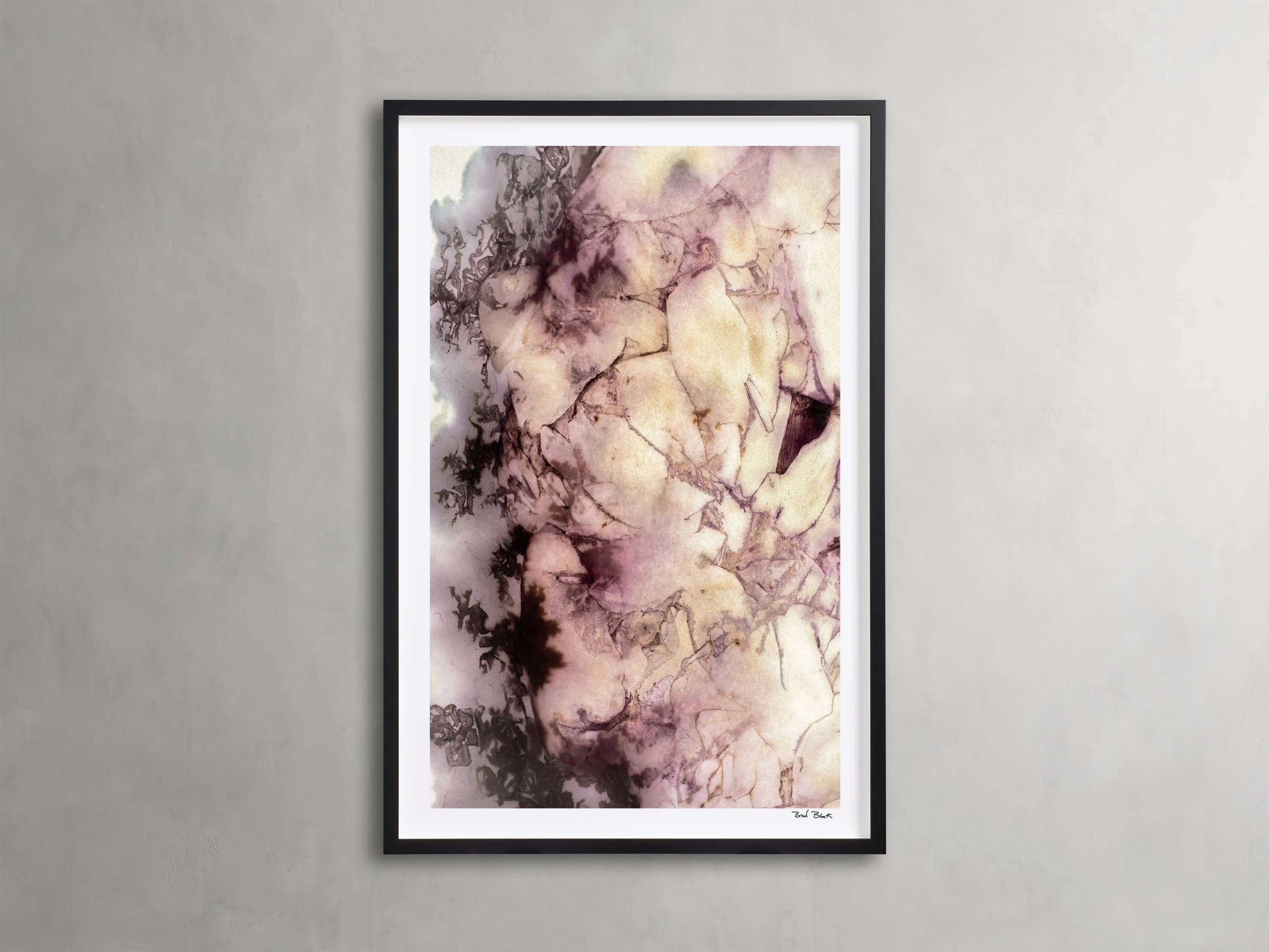 Peony Universe Framed Printhome decor ,wall decor 