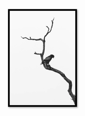 Perched, Posterpop culture themed posters