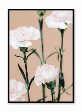 Pink Carnations, Posterpop culture themed posters