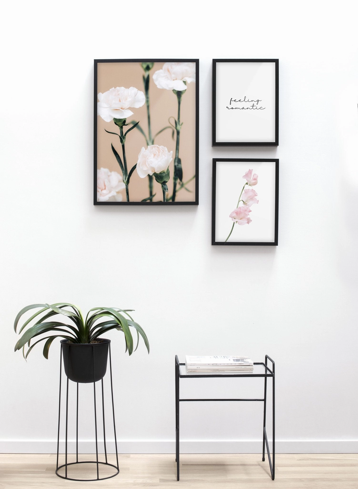 Pink Carnations, Poster