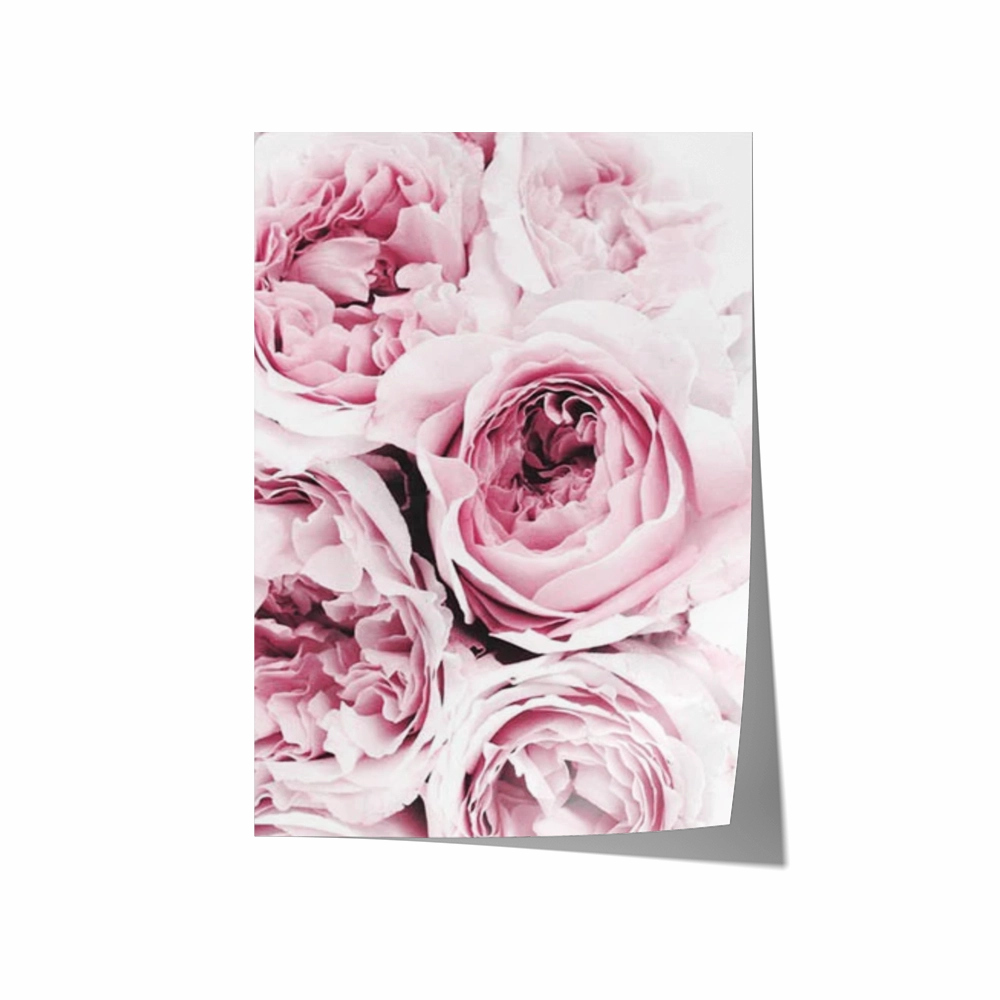 Pink Flowers Print