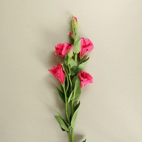 Pink Lisianthus Flowers - Set of 3 Stemshome decoration ,modern home decor 
