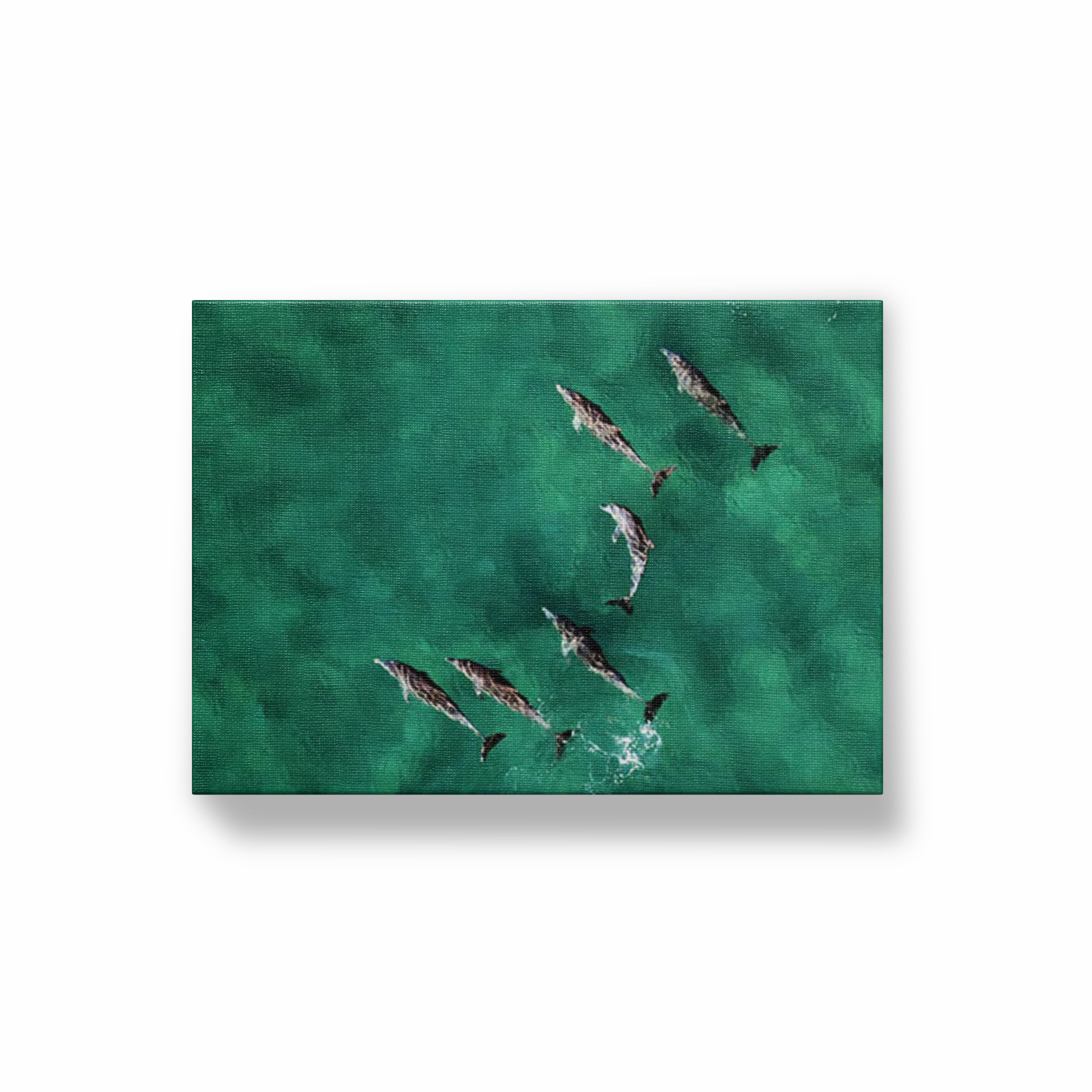 Pod of Dolphins