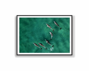Pod of Dolphinsnordic style wall decor