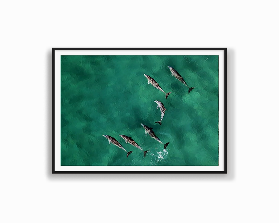Pod of Dolphinsnordic style wall decor