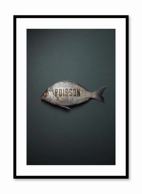 Poisson, Posterpop culture themed posters