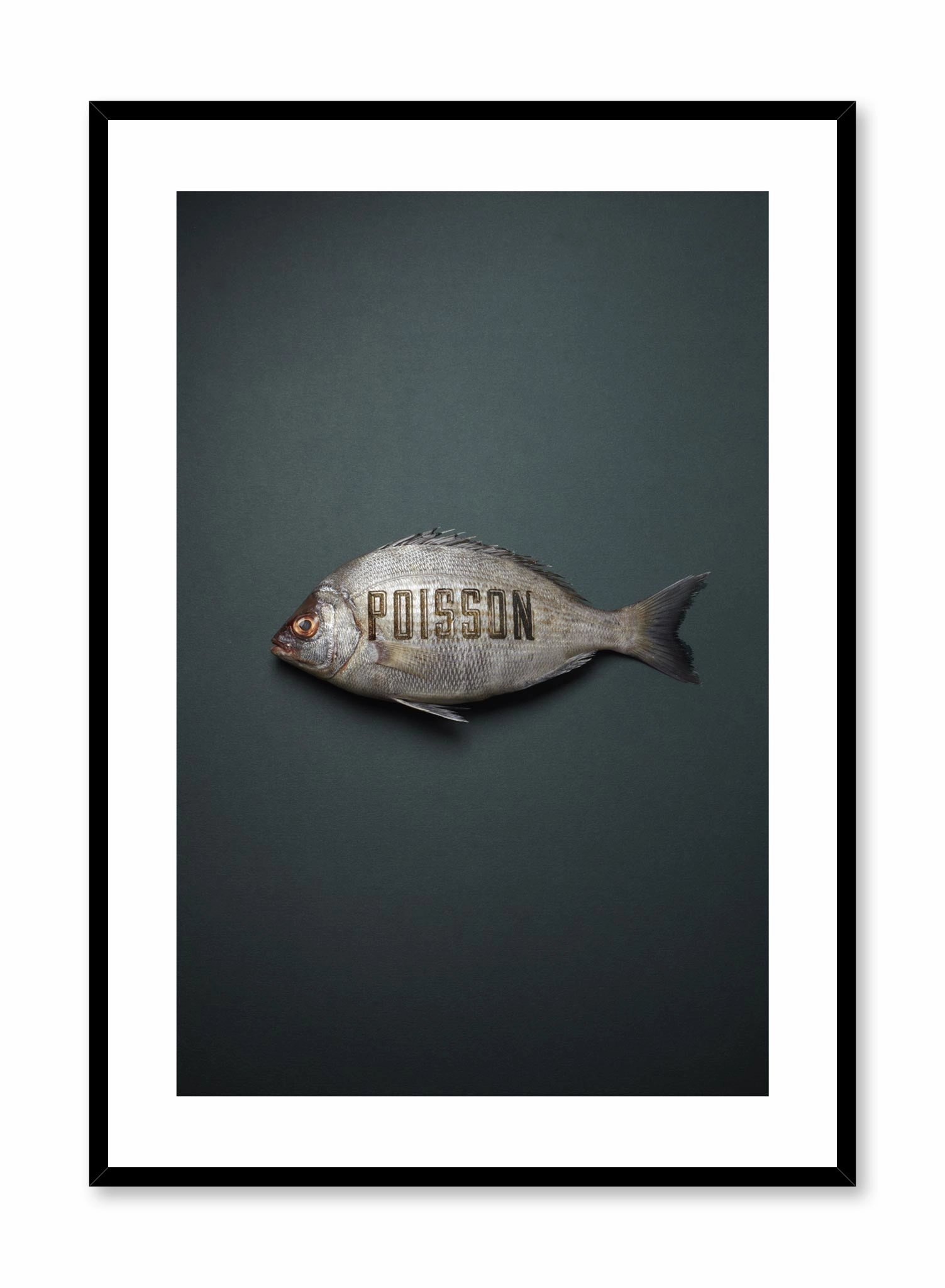 Poisson, Posterpop culture themed posters