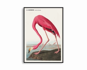 Poster Hub - American Flamingomodern abstract painting decor