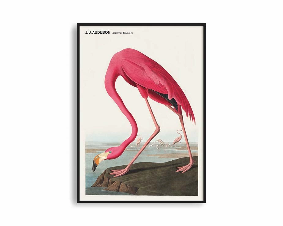 Poster Hub - American Flamingomodern abstract painting decor