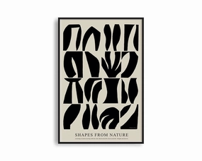 Poster Hub - Shapes From Naturemodern abstract painting decor