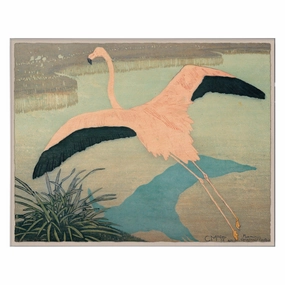 Psittacus Sulphurius, Flamingonordic style wall decor