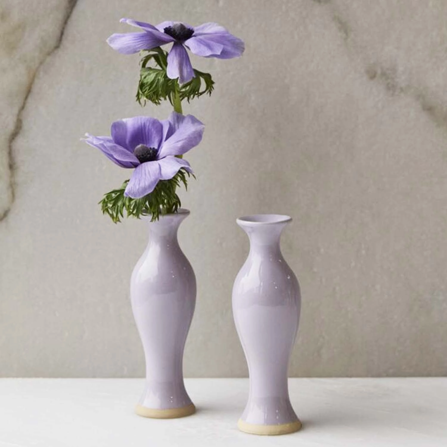 Purple Chase Rainbows Budvase - 6"