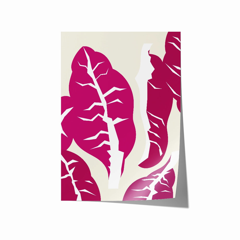 Radicchio Portrait