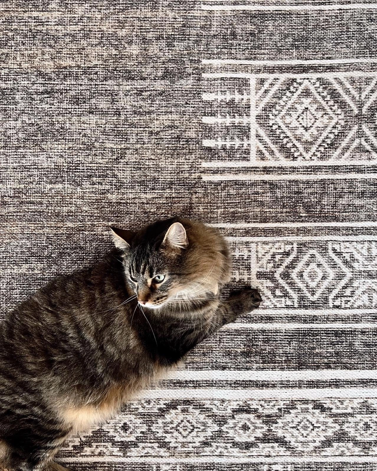 Raia Charcoal and Grey Tribal Distressed Washable Rug *NO RETURNS UNLESS FAULTY