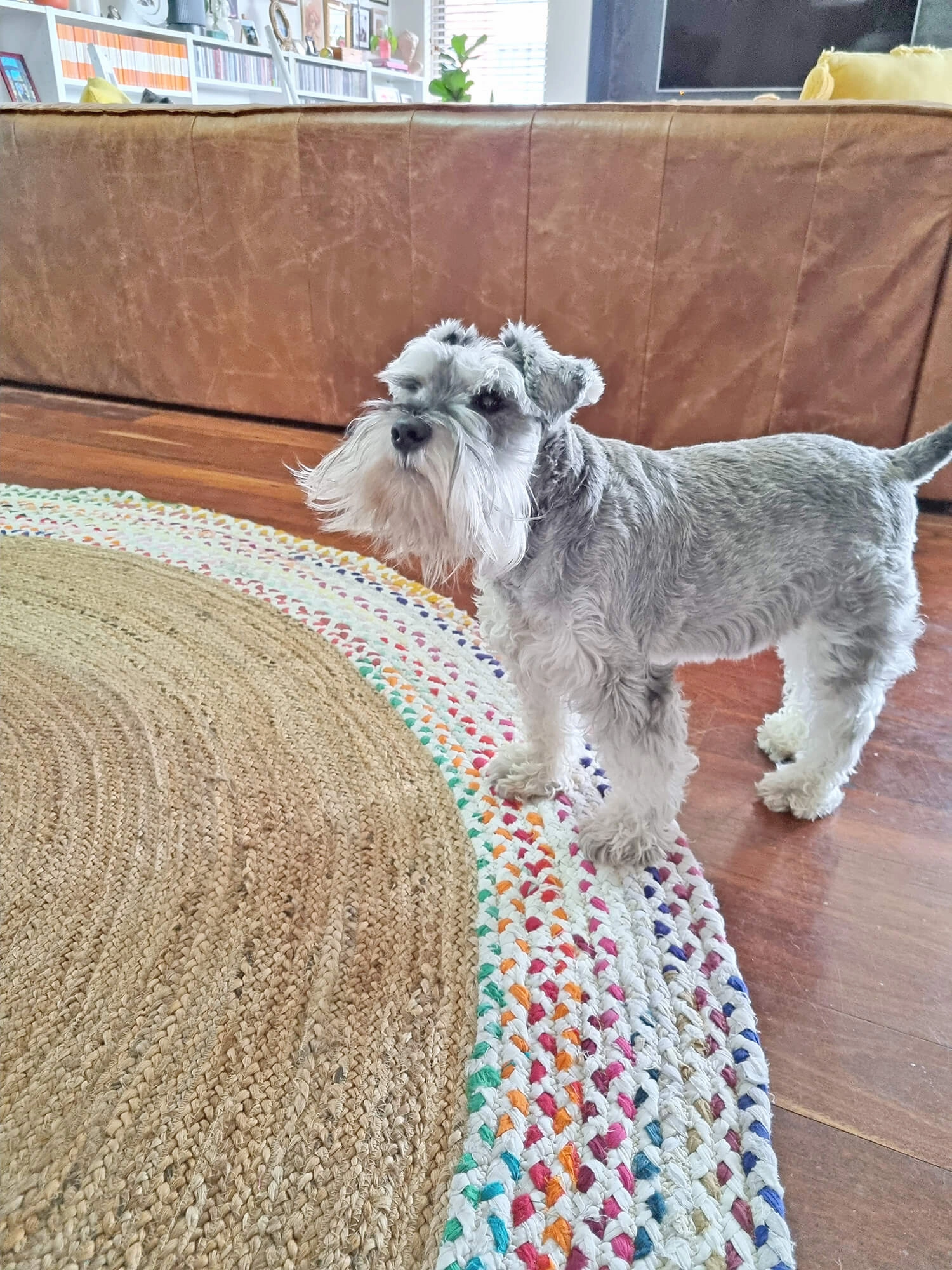 Ramona Multi-Colour Round Rug *NO RETURNS UNLESS FAULTY