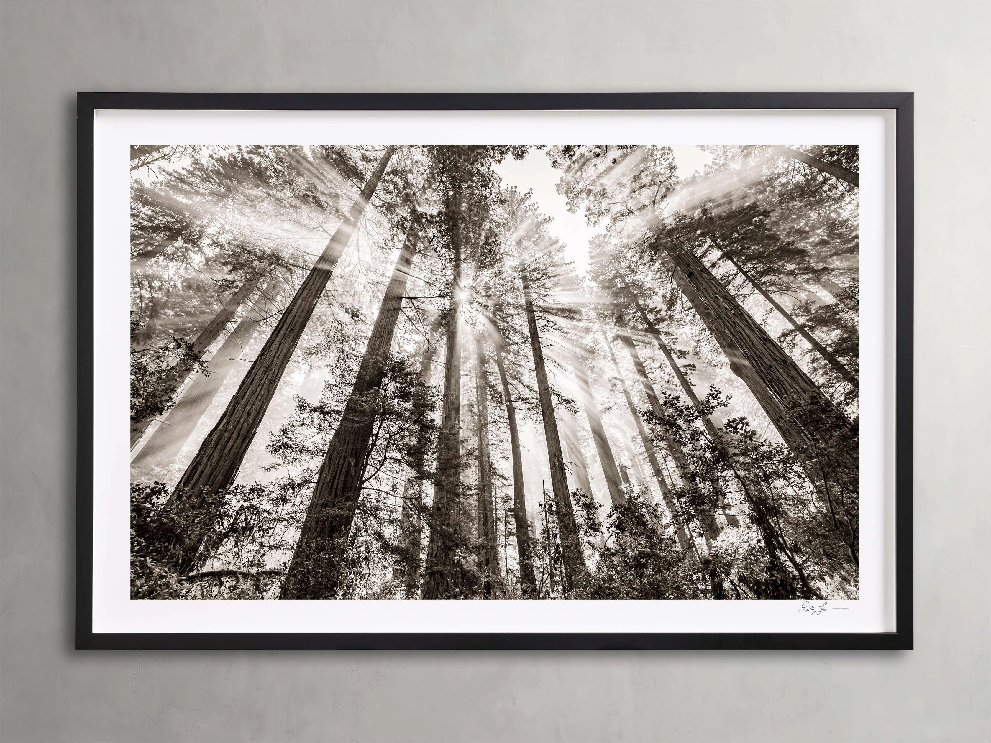 Redwoods II Framed Printnordic style wall decor