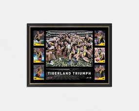 Richmond 2019 Premiers Tribute Framehandmade souvenirs