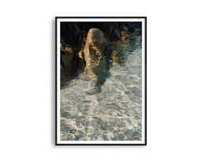 Rocks By The Baynordic style wall decor
