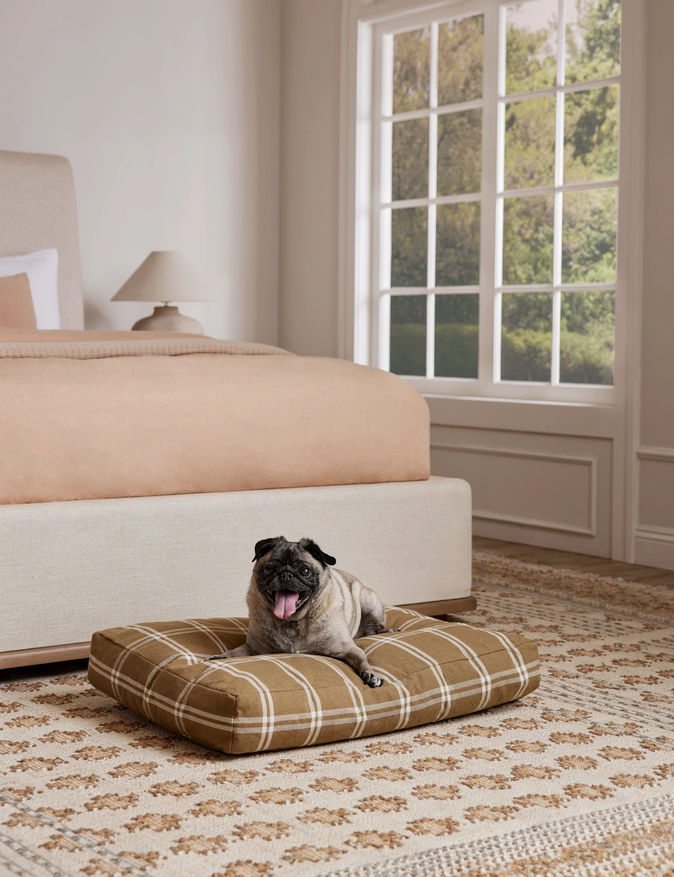 Rollo Dog Bed