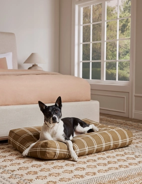 Rollo Dog Bedbedding sets ,throw blankets 