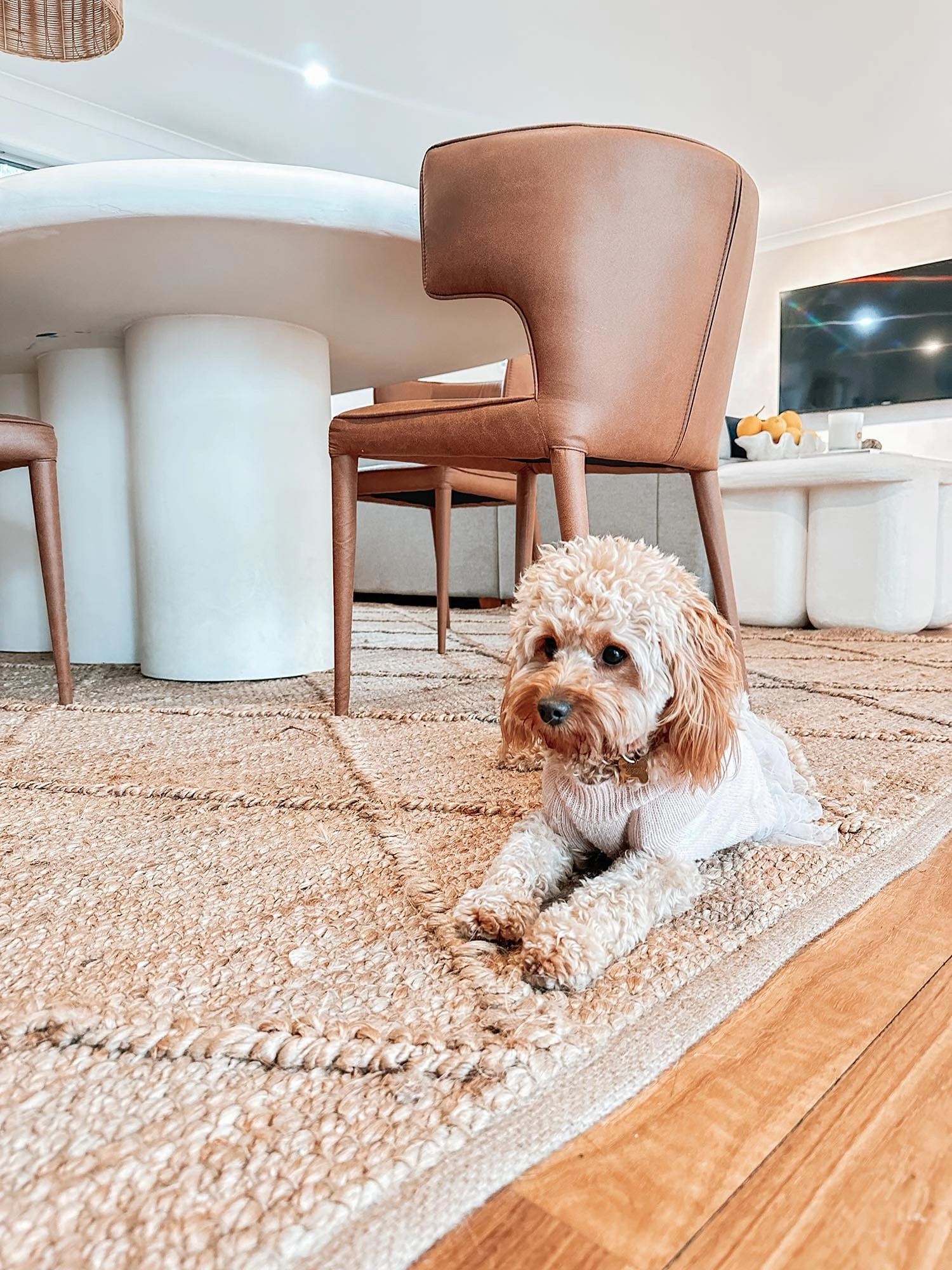 Sabra Diamond Lattice Jute Rug *NO RETURNS UNLESS FAULTY