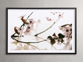 Sakura Framed Printhome decor ,wall decor 