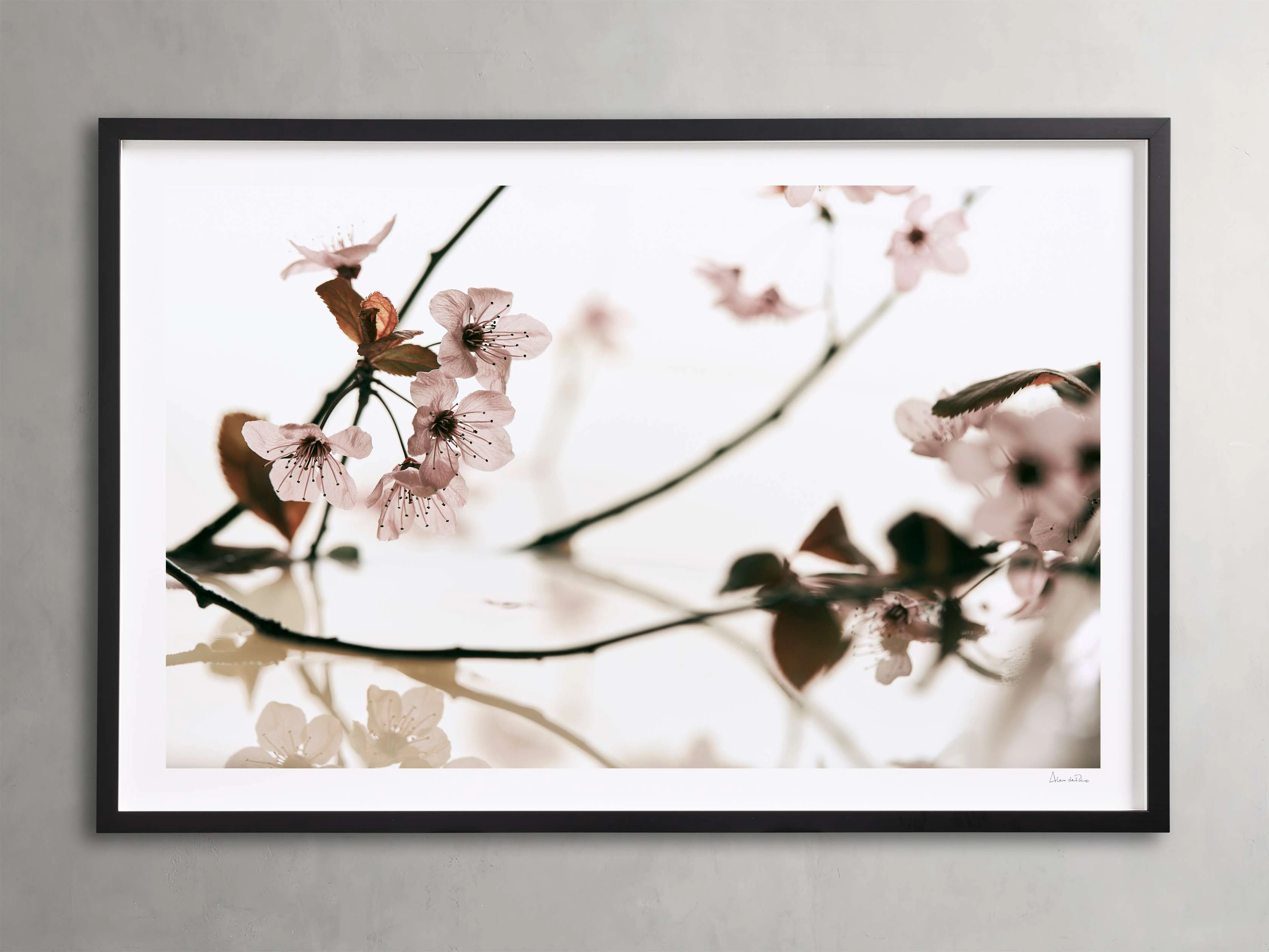 Sakura Framed Printhome decor ,wall decor 