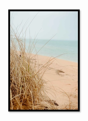 Sandy Grass, Posterpop culture themed posters