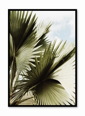 Saw Palmetto, Posterpop culture themed posters