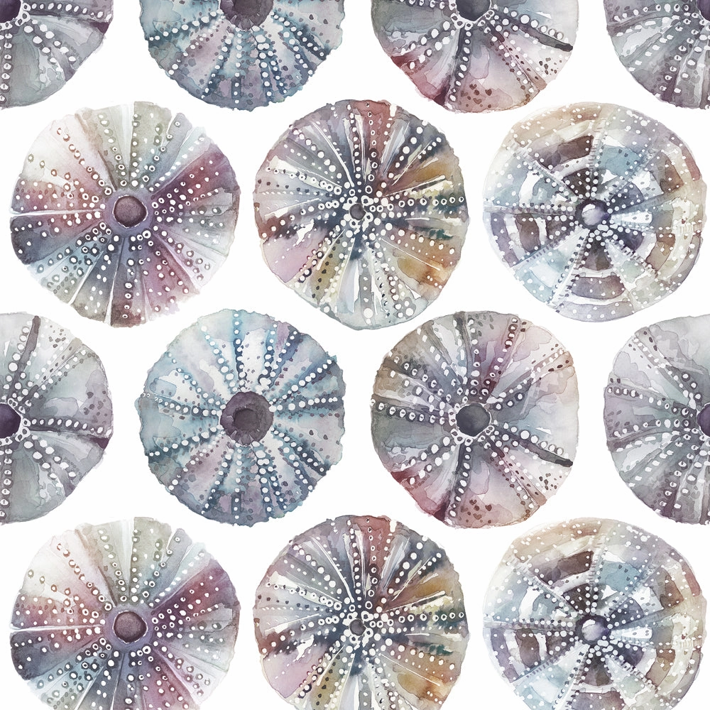 Sea Urchin Printed Cotton Made to Measure Roman Blinds Abalone