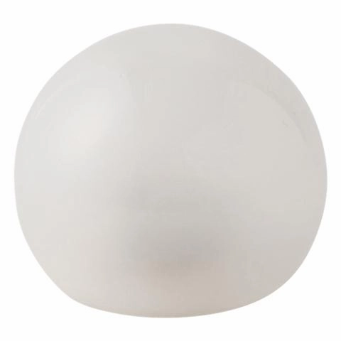 Shell Lamp White