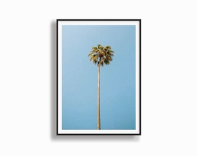 Single Palmnordic style wall decor