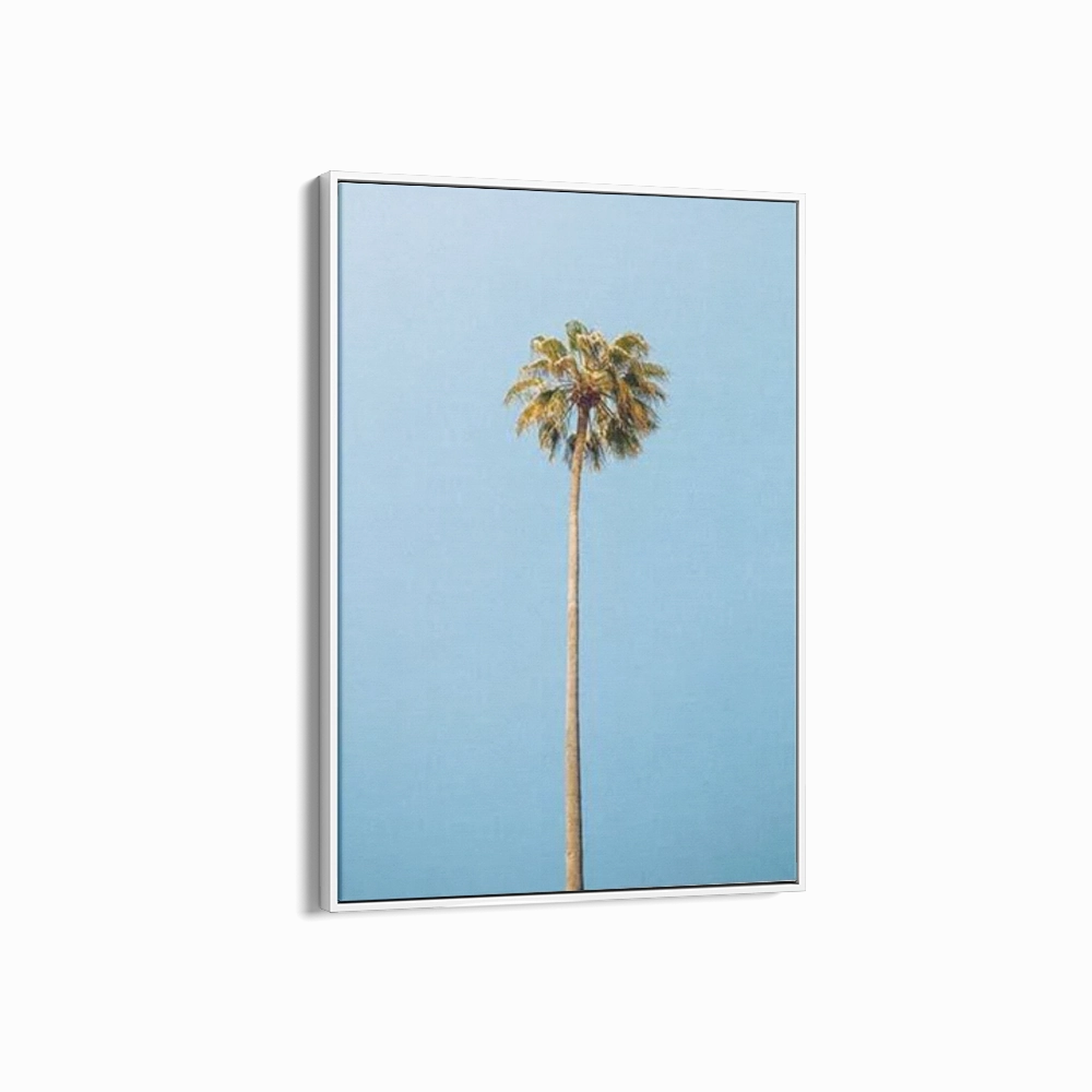 Single Palm