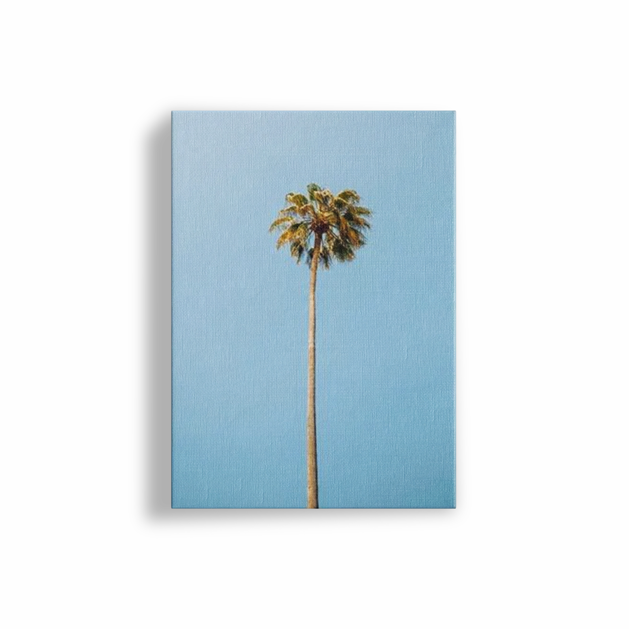 Single Palm