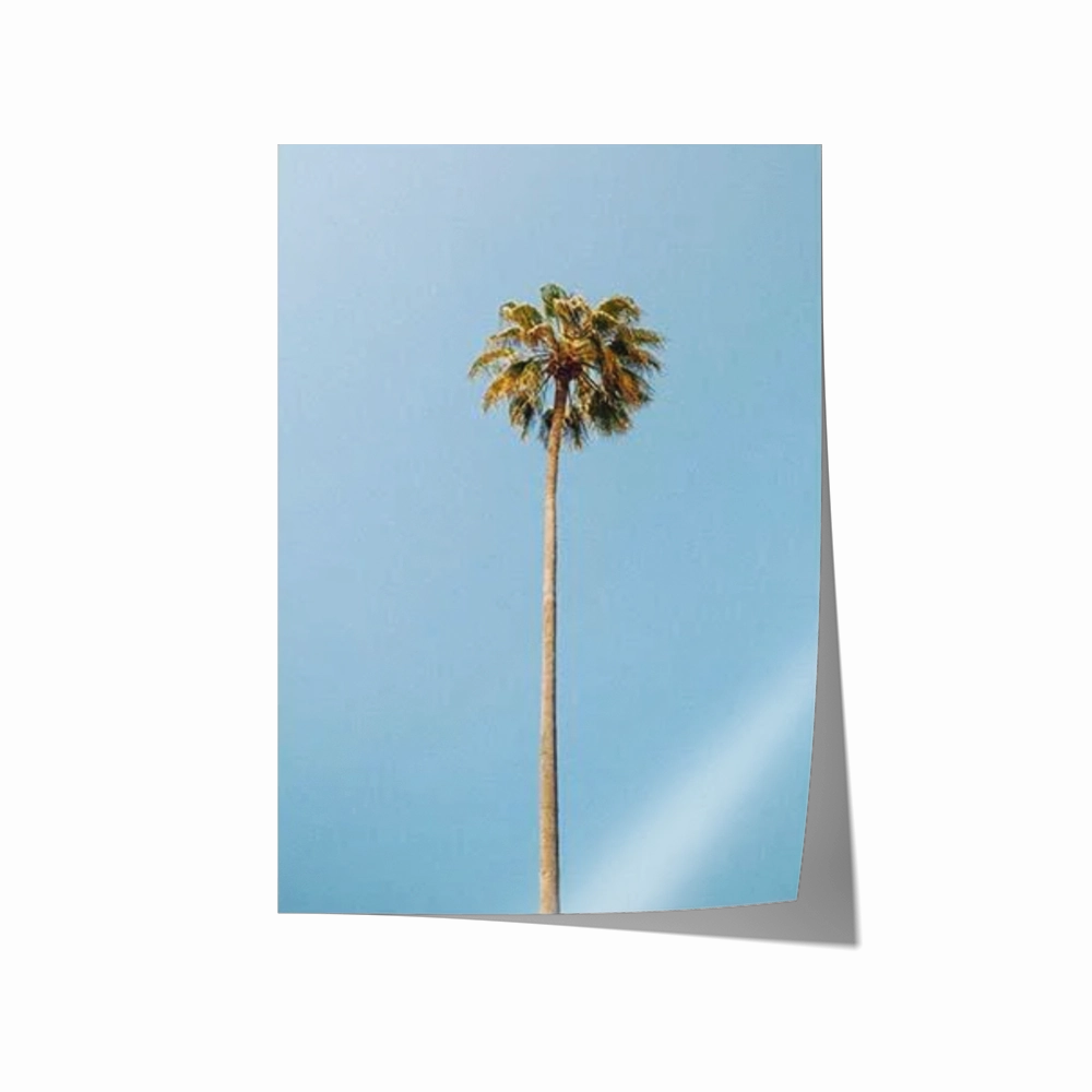 Single Palm
