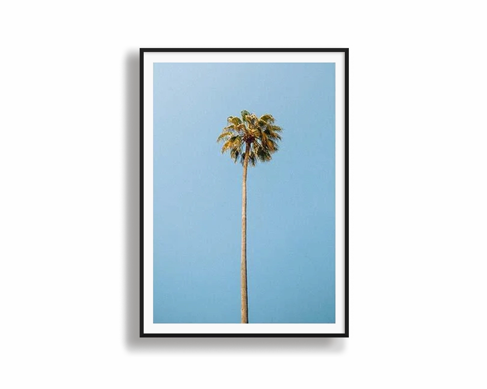 Single Palmnordic style wall decor