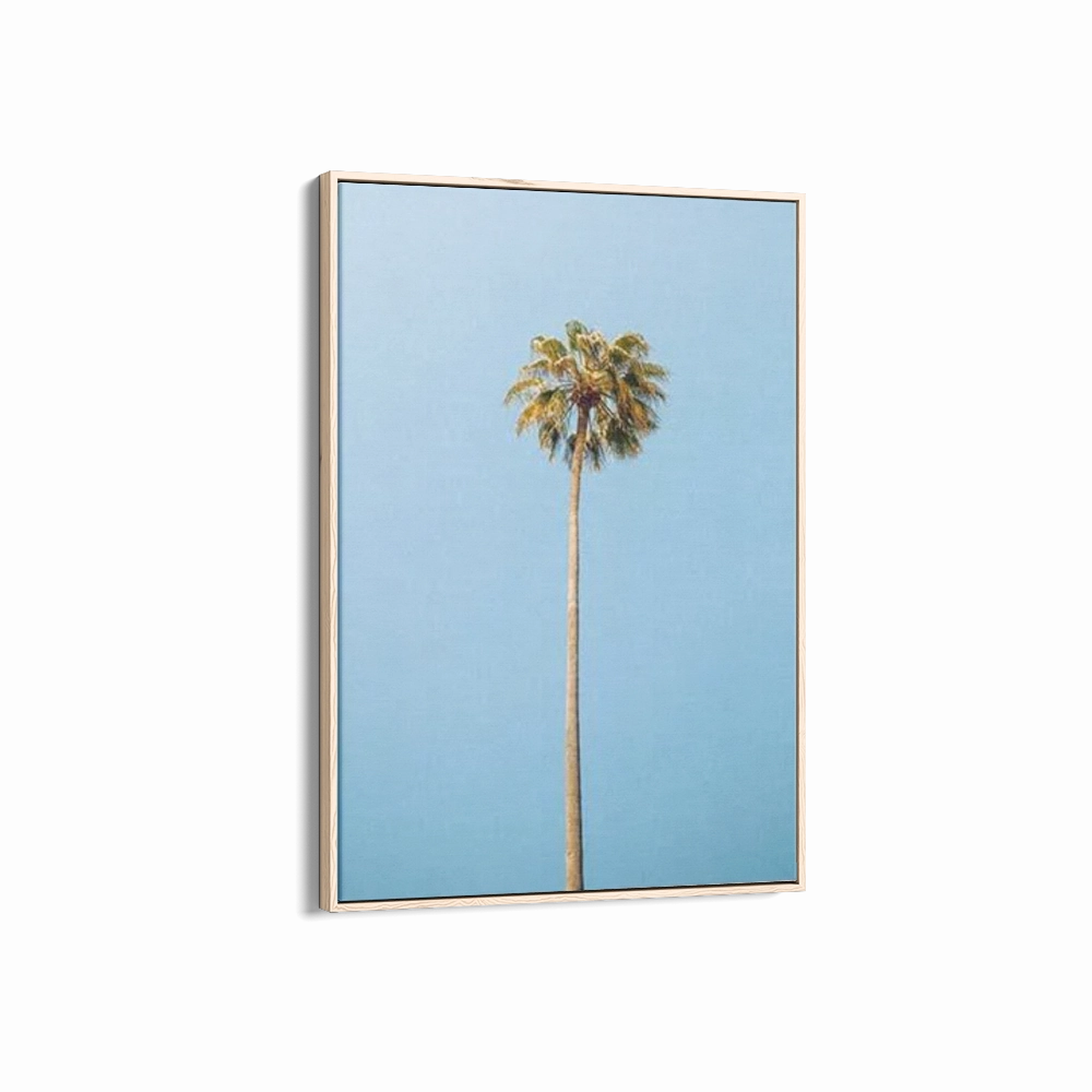 Single Palm