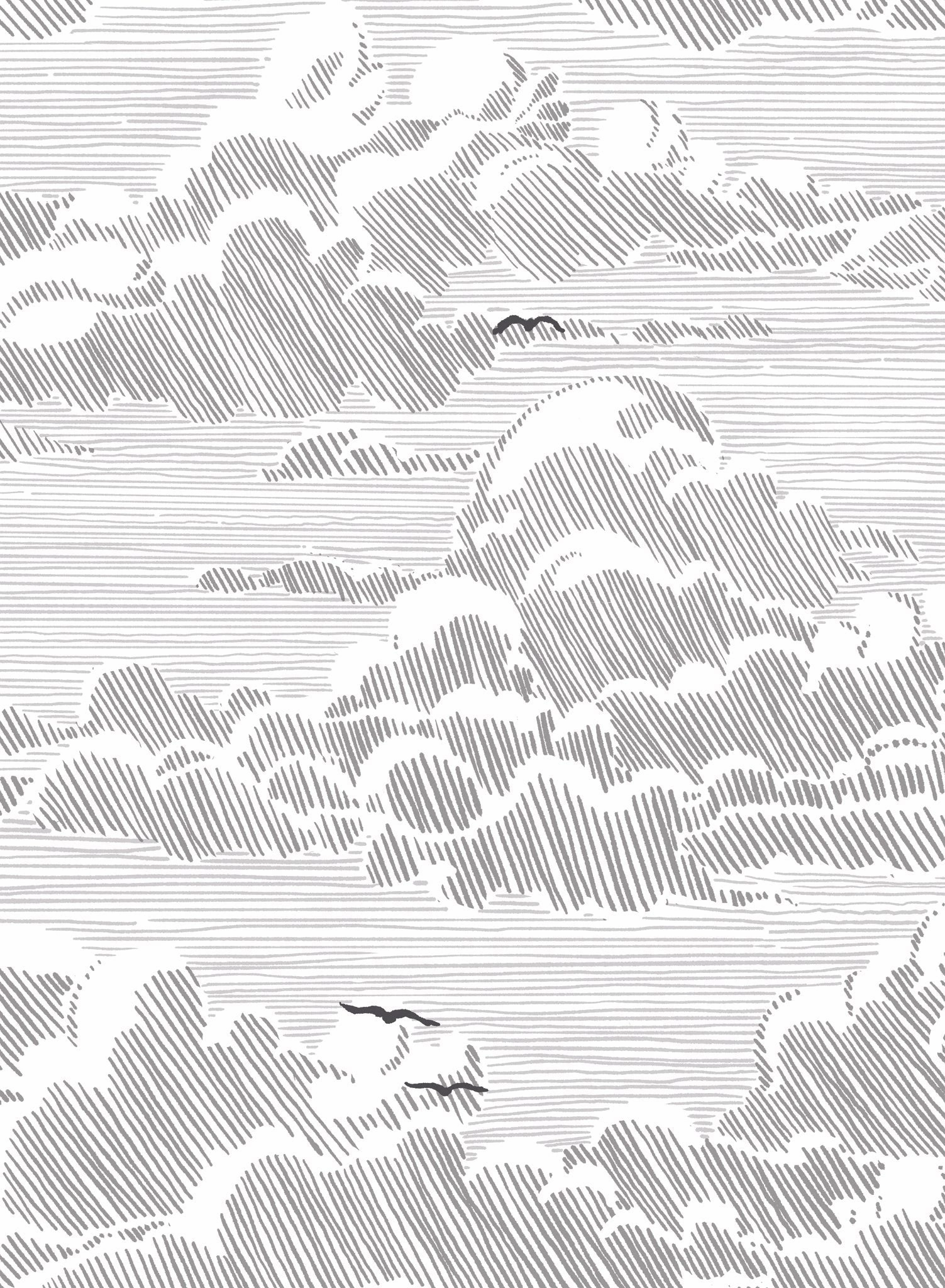 Sky Bound, Wallpapernordic minimalist wallpaper