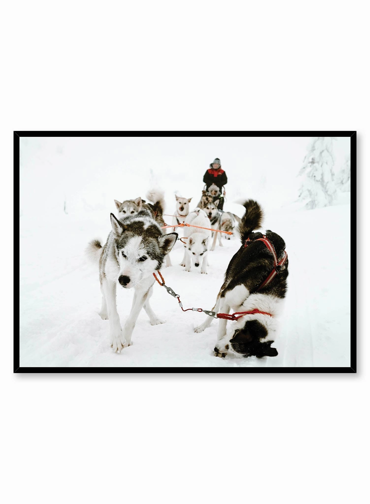 Sled Squad, Posterpop culture themed posters