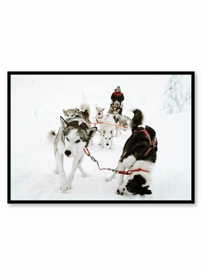Sled Squad, Posterpop culture themed posters