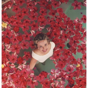 Slim Aarons ??Hibiscus Flowers?? Photographnordic style wall decor