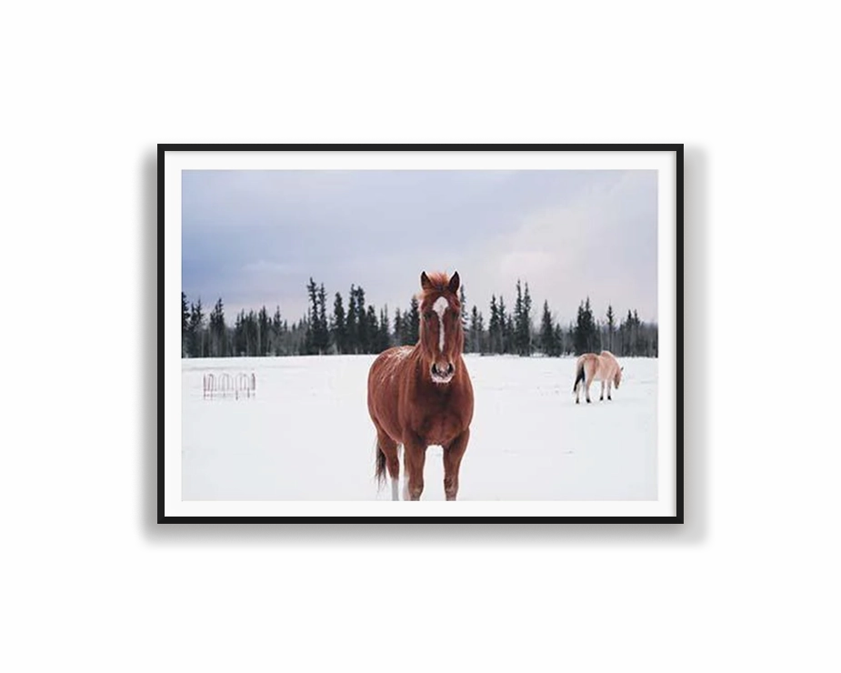 Snow Brumbynordic style wall decor