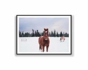 Snow Brumbynordic style wall decor