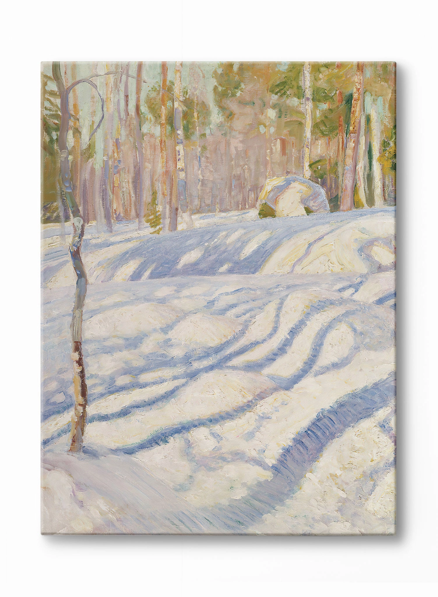Snow Day Shadows, Canvasindoor decorative canvas print