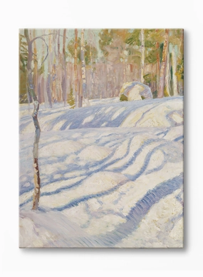 Snow Day Shadows, Canvasindoor decorative canvas print