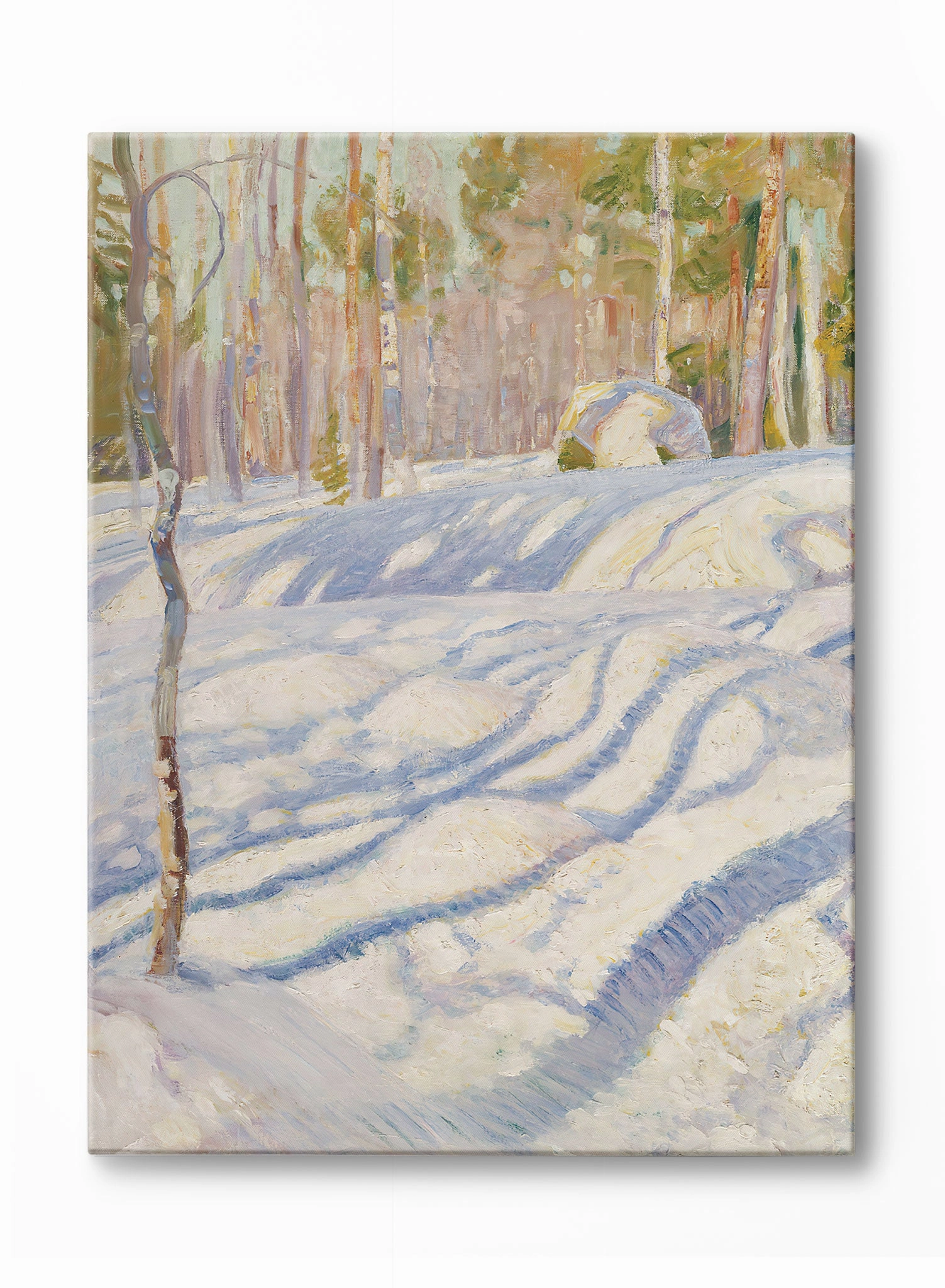 Snow Day Shadows, Poster