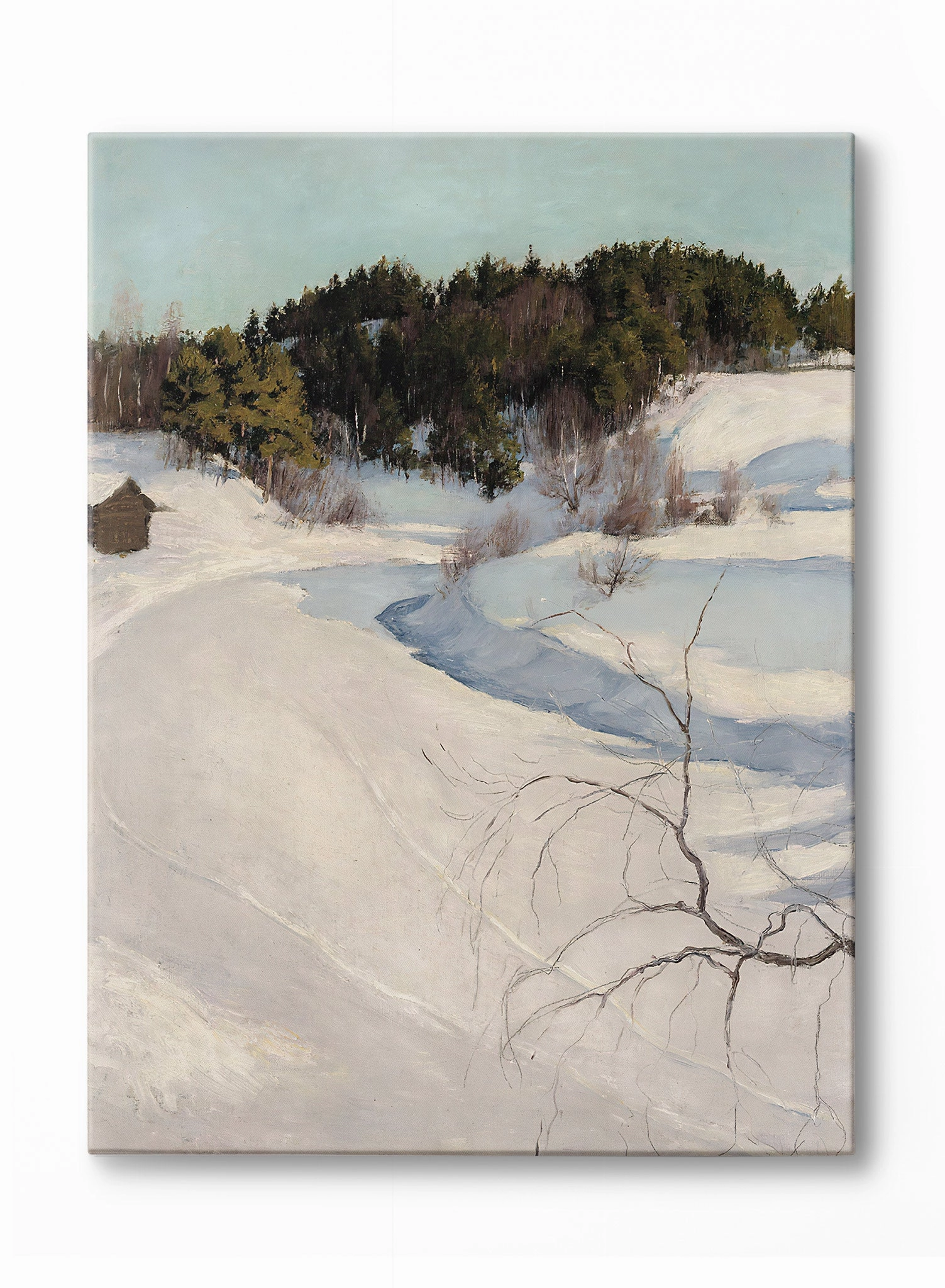 Snowshoe Trails, Canvasindoor decorative canvas print