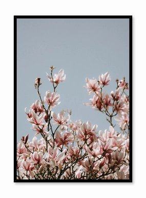 Soaring Flowers, Posterpop culture themed posters