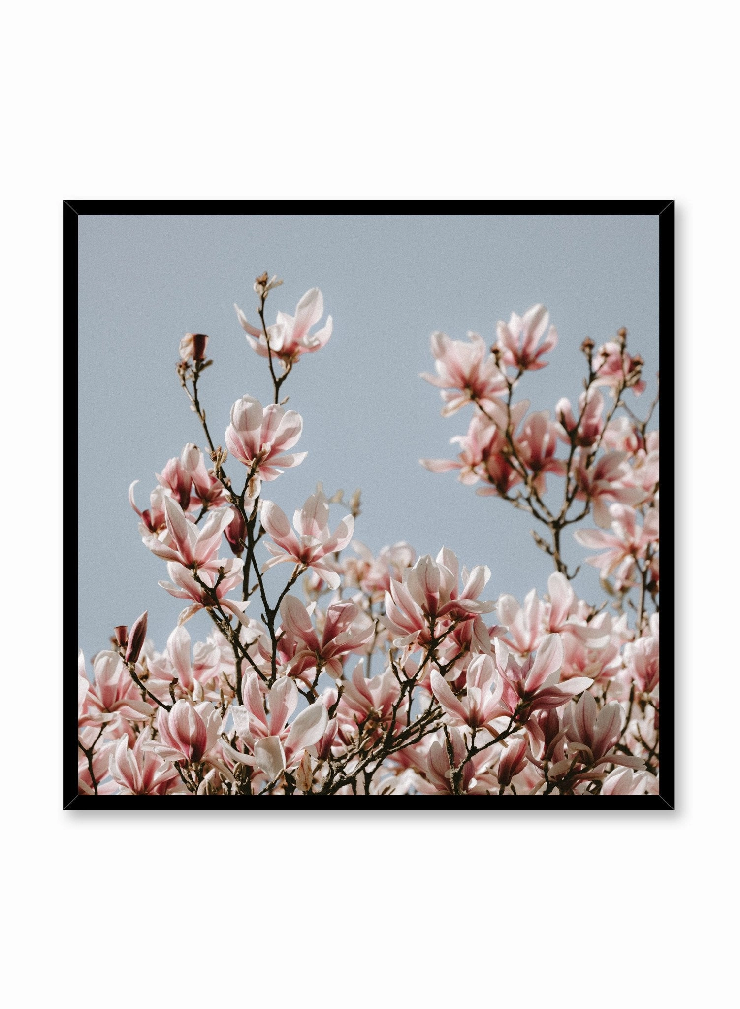 Soaring Flowers, Poster