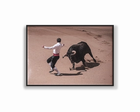 Spain Charging Bullnordic style wall decor